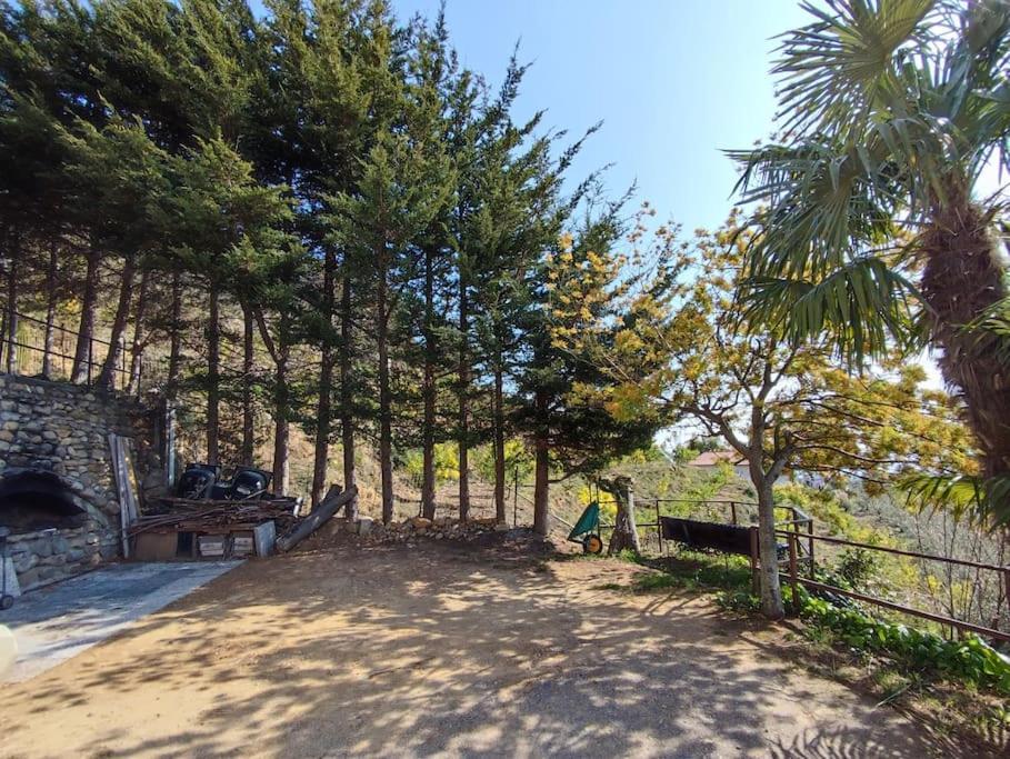Detached House With Garden And Sea View Guest House Сан Ремо Екстериор снимка