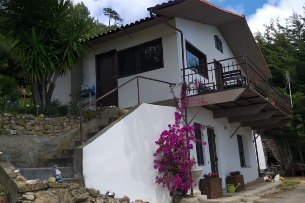 Detached House With Garden And Sea View Guest House Сан Ремо Екстериор снимка